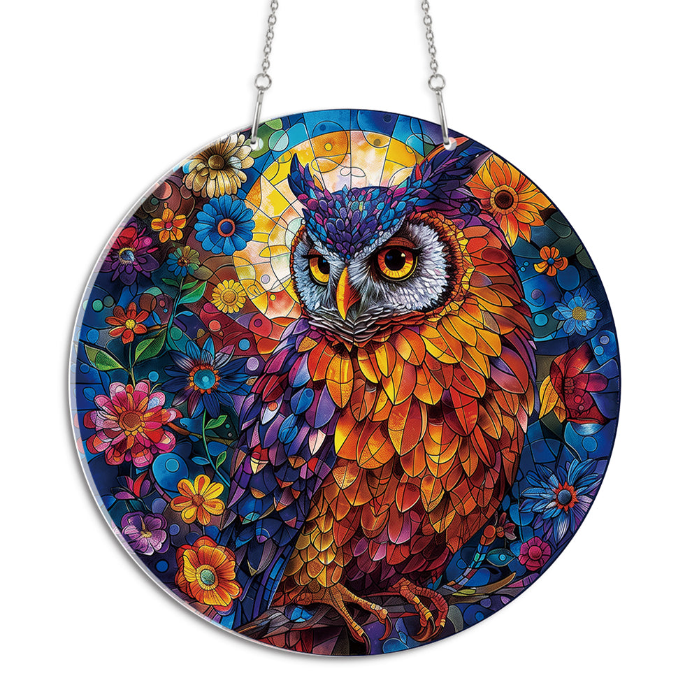 Owl Collection