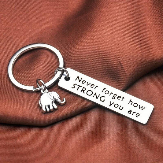 Never Forget How Strong You Are Engraved Keyring Cute Elephant Charm Keychain Gift For Friend Mother Aunt Daughter Niece Grandma For Birthday Special Occasion